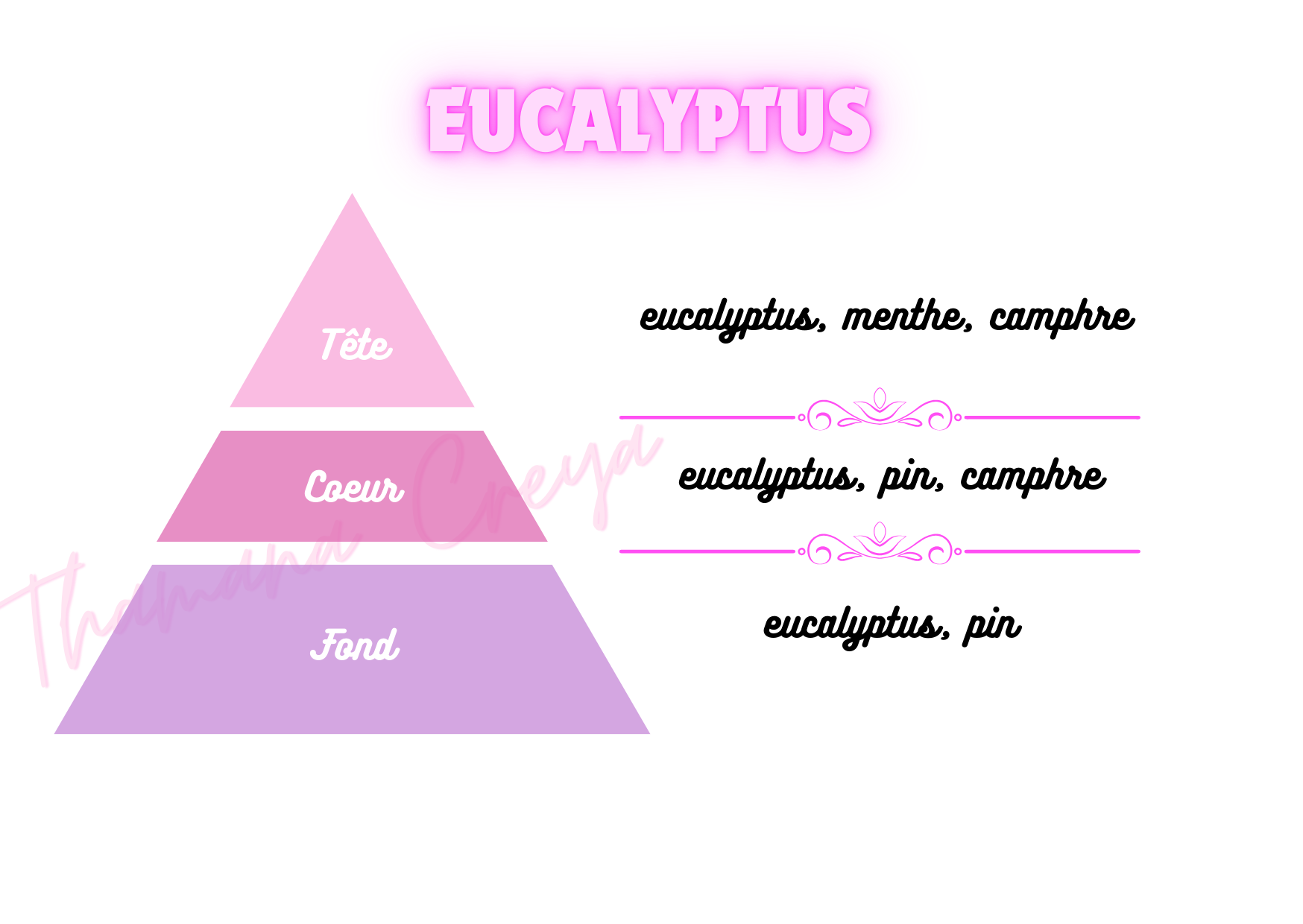 Eucalyptus