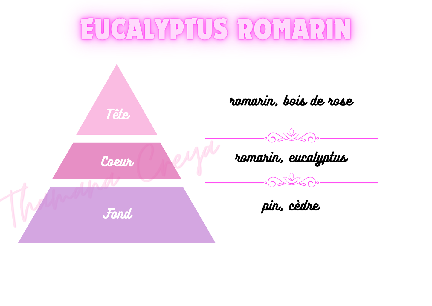 Eucalyptus Romarin