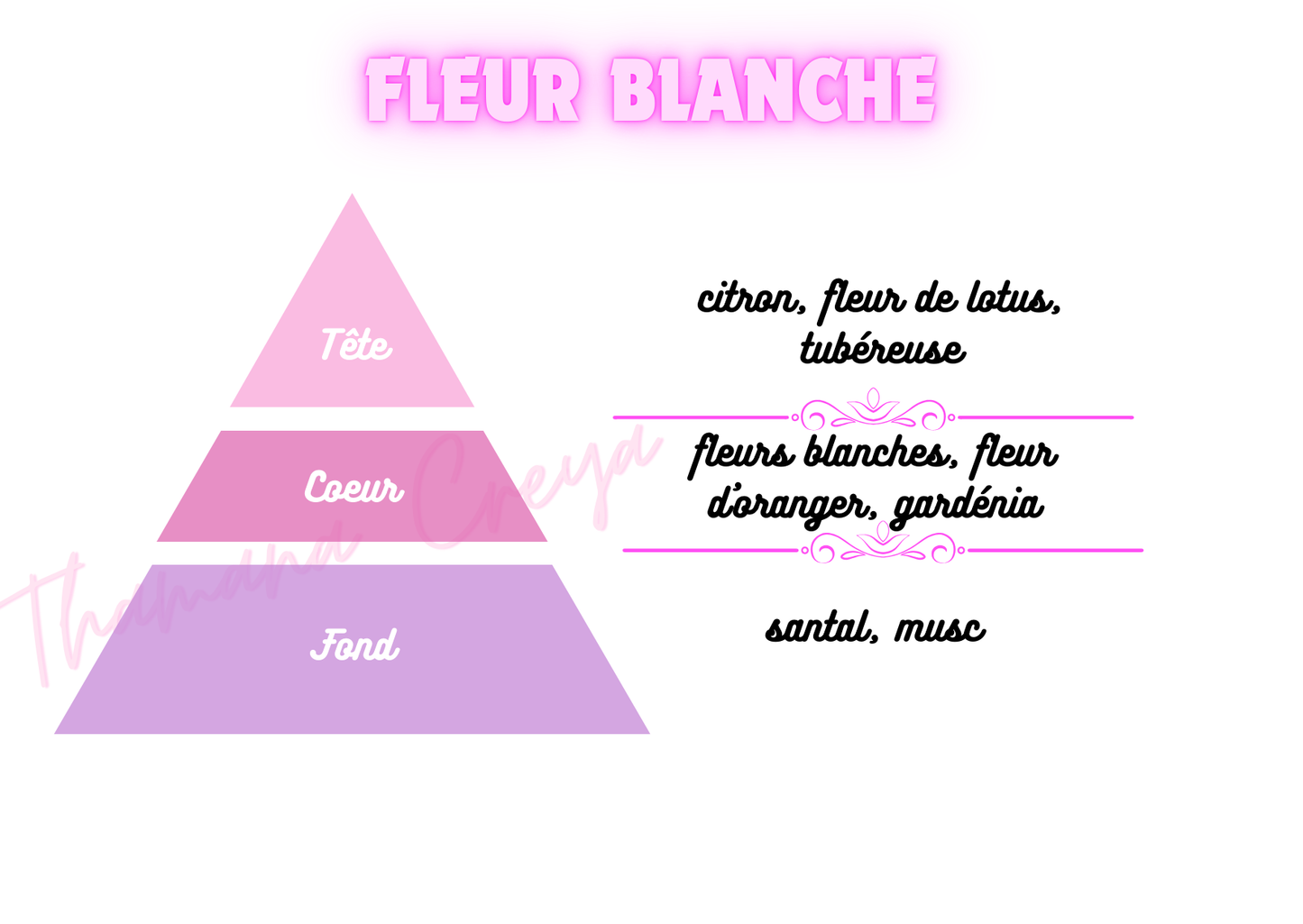 Fleur Blanche / N°Lot: TC-26265