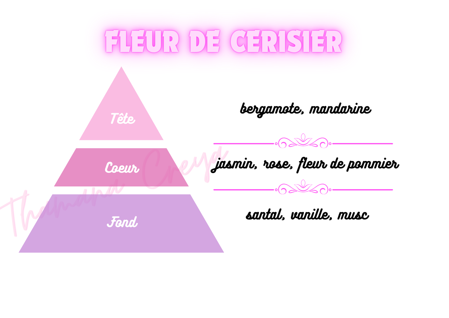 Fleur de Cerisier