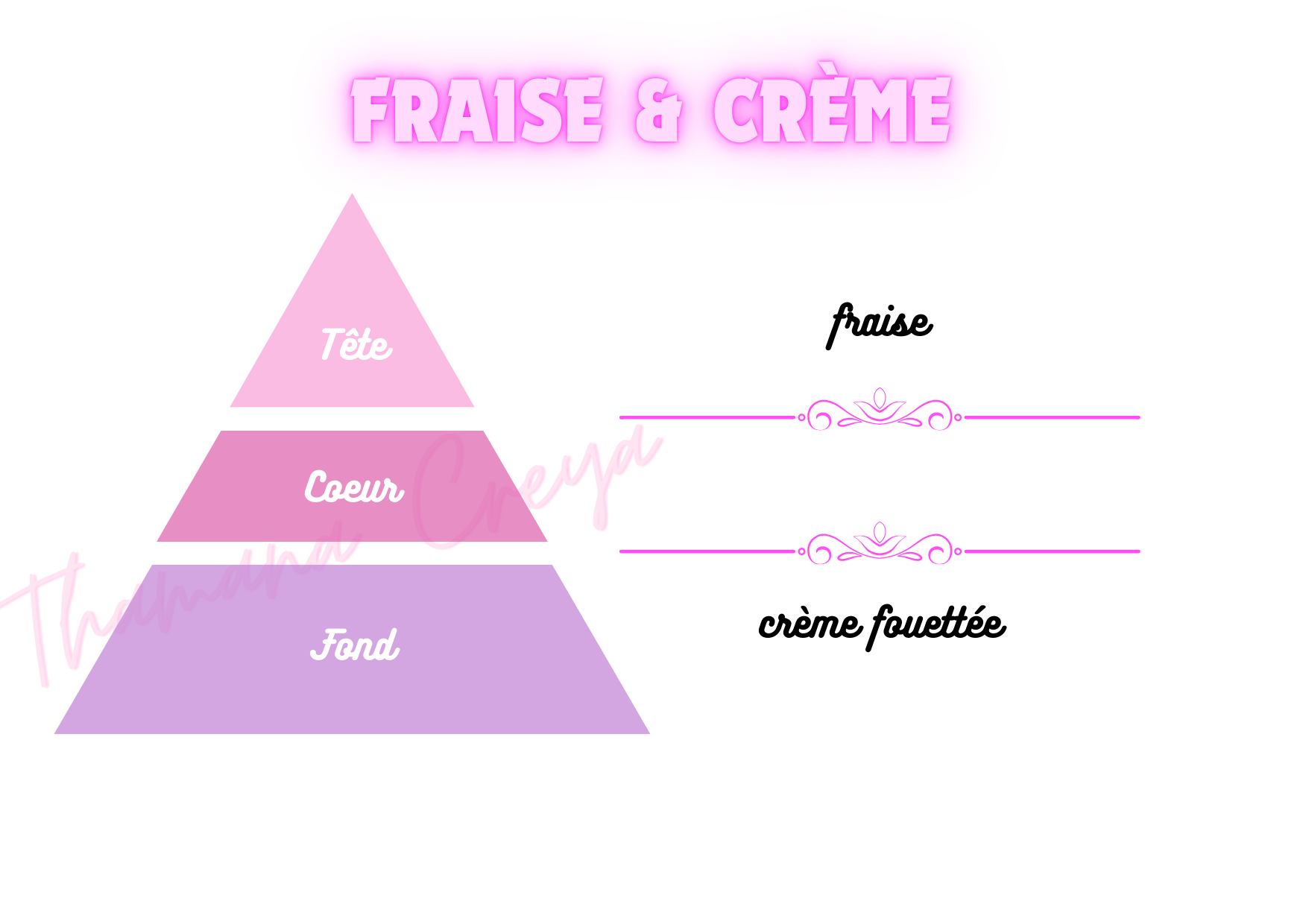 Fraise & crème