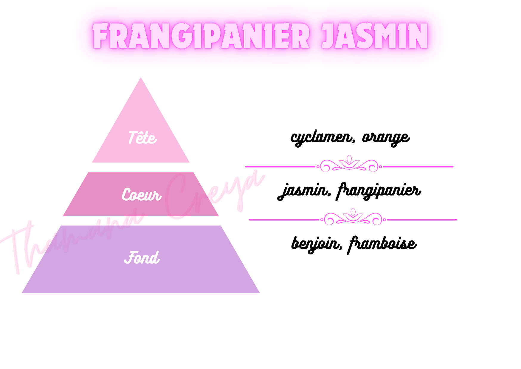 Frangipanier jasmin