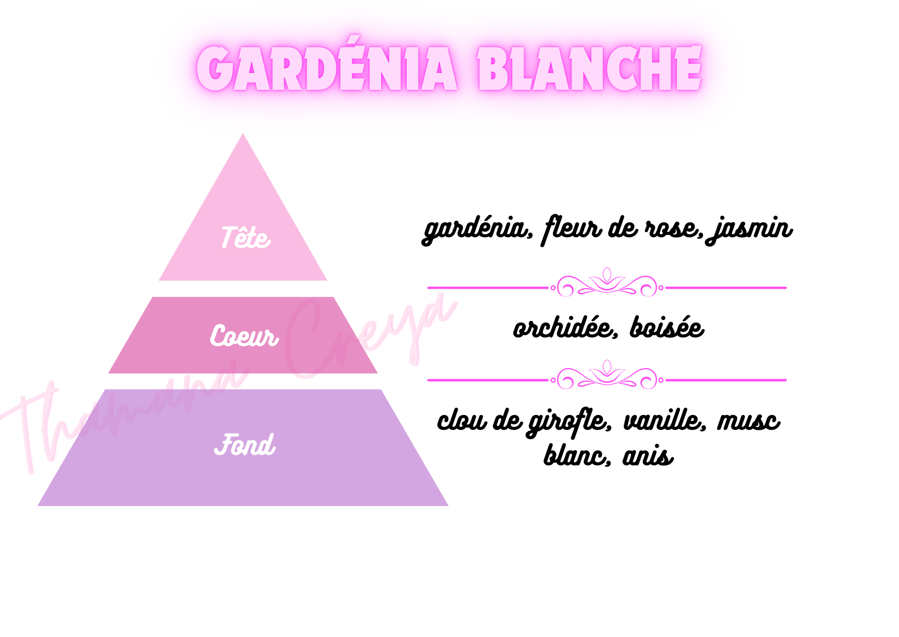 Gardénia Blanche