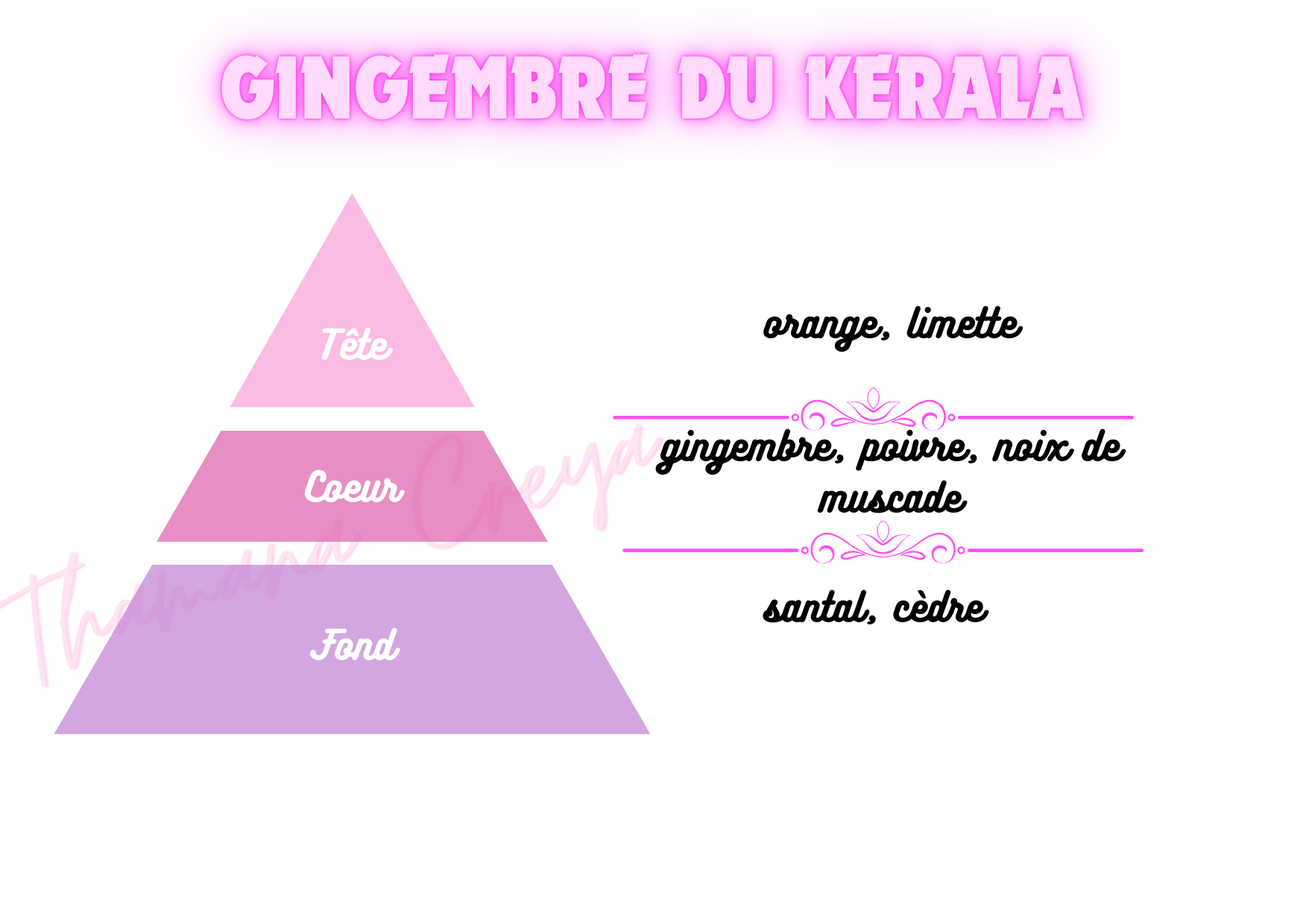 Gingembre du Kerala