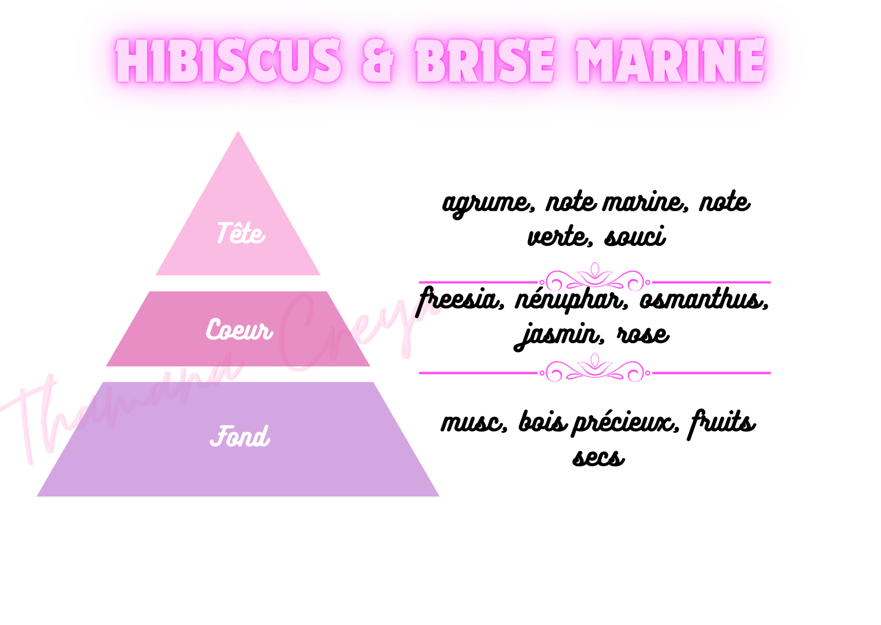 Hibiscus et brise marine