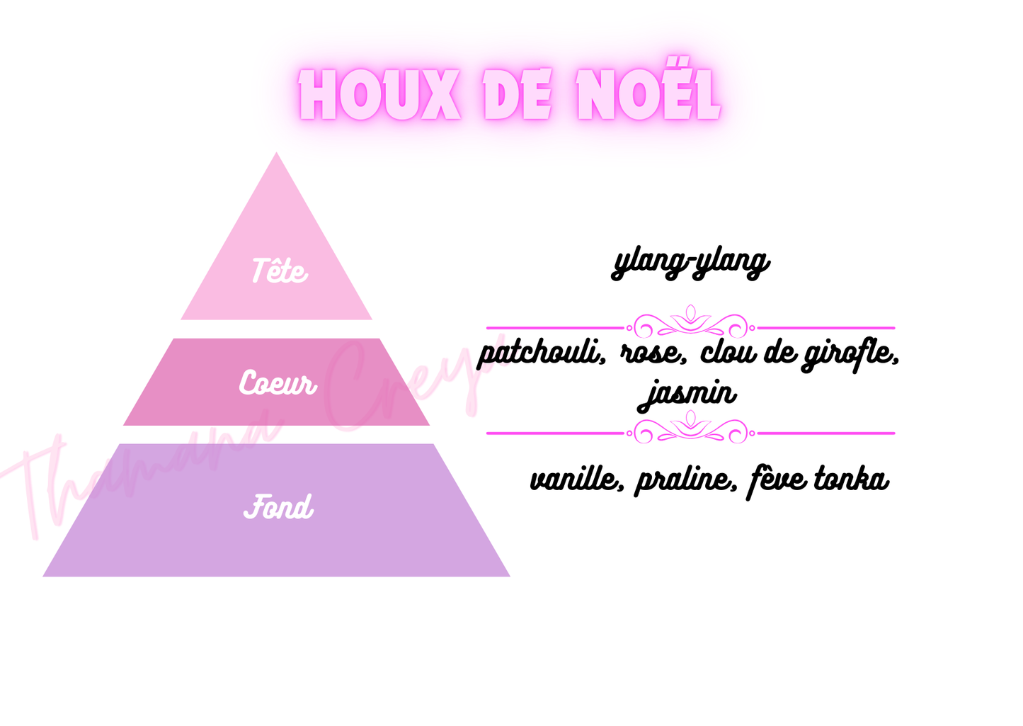 Houx de Noël