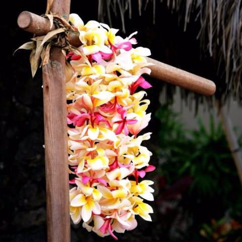 Aloha tiaré