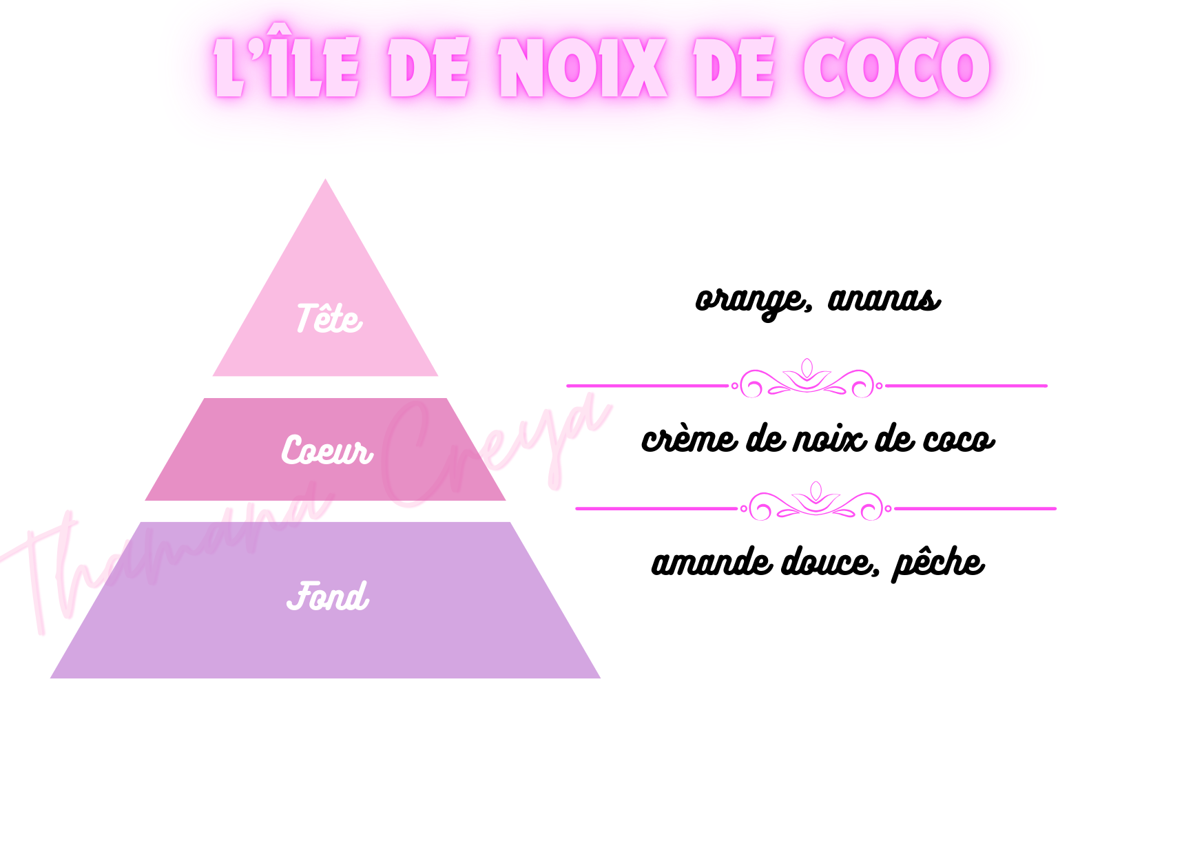 L'île de noix de coco