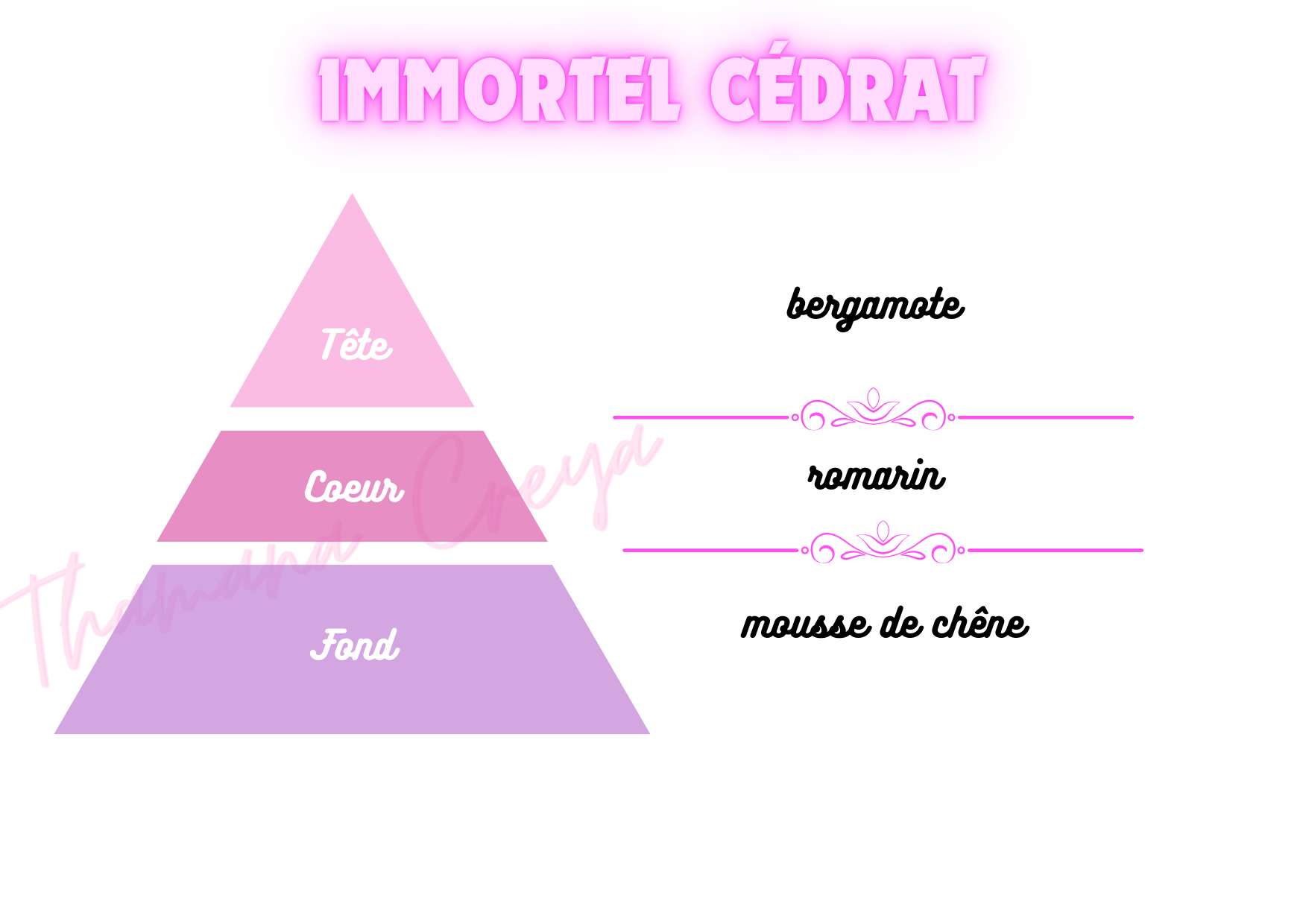 Immortel cédrat