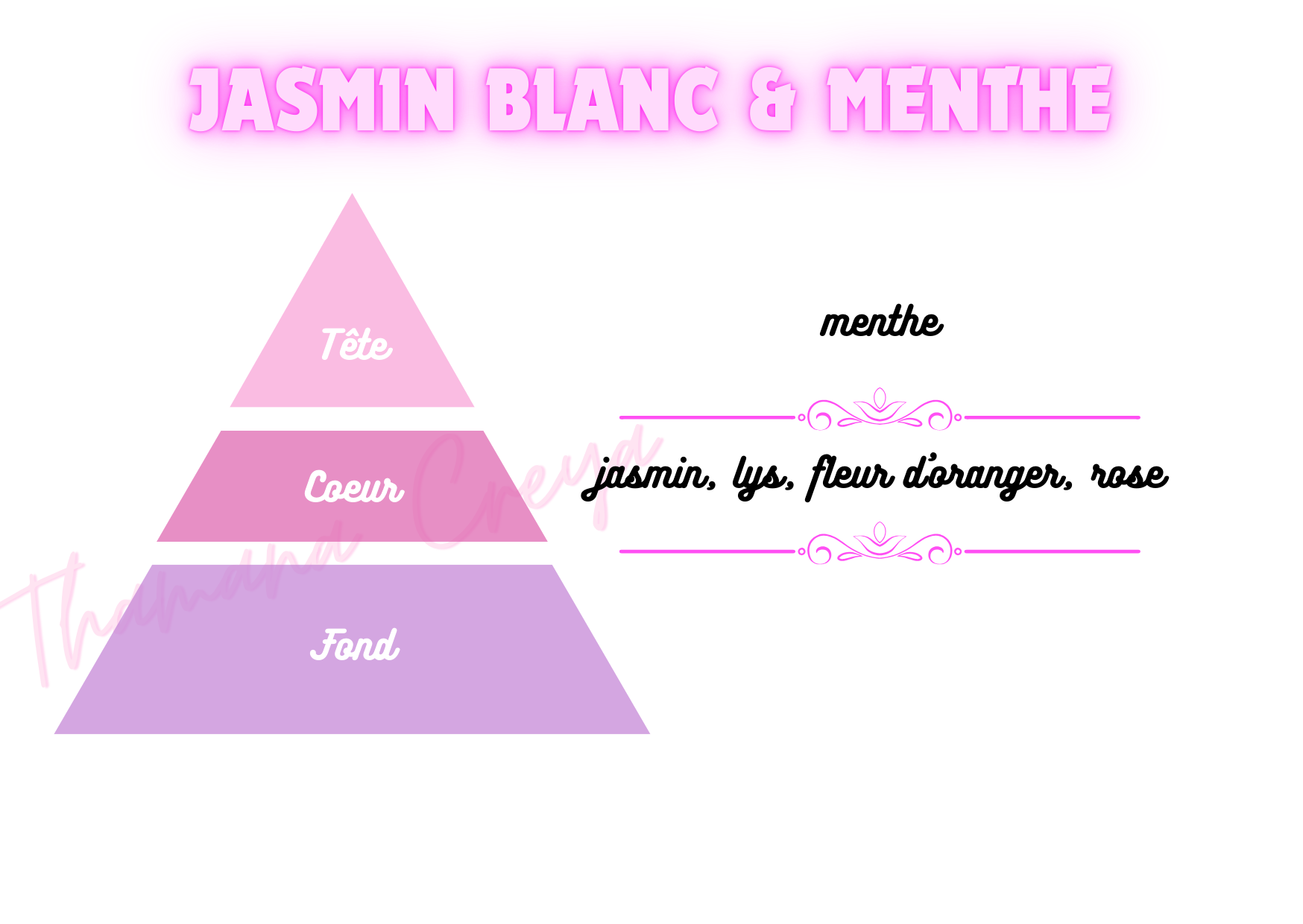 Jasmin Blanc & Menthe