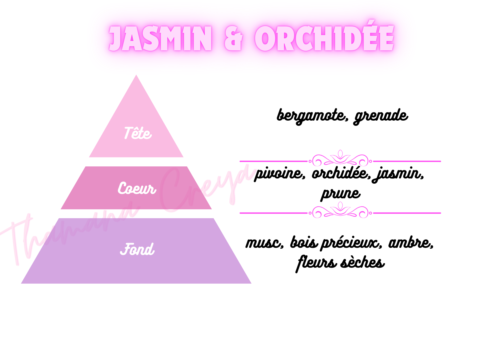 Jasmin et orchidée