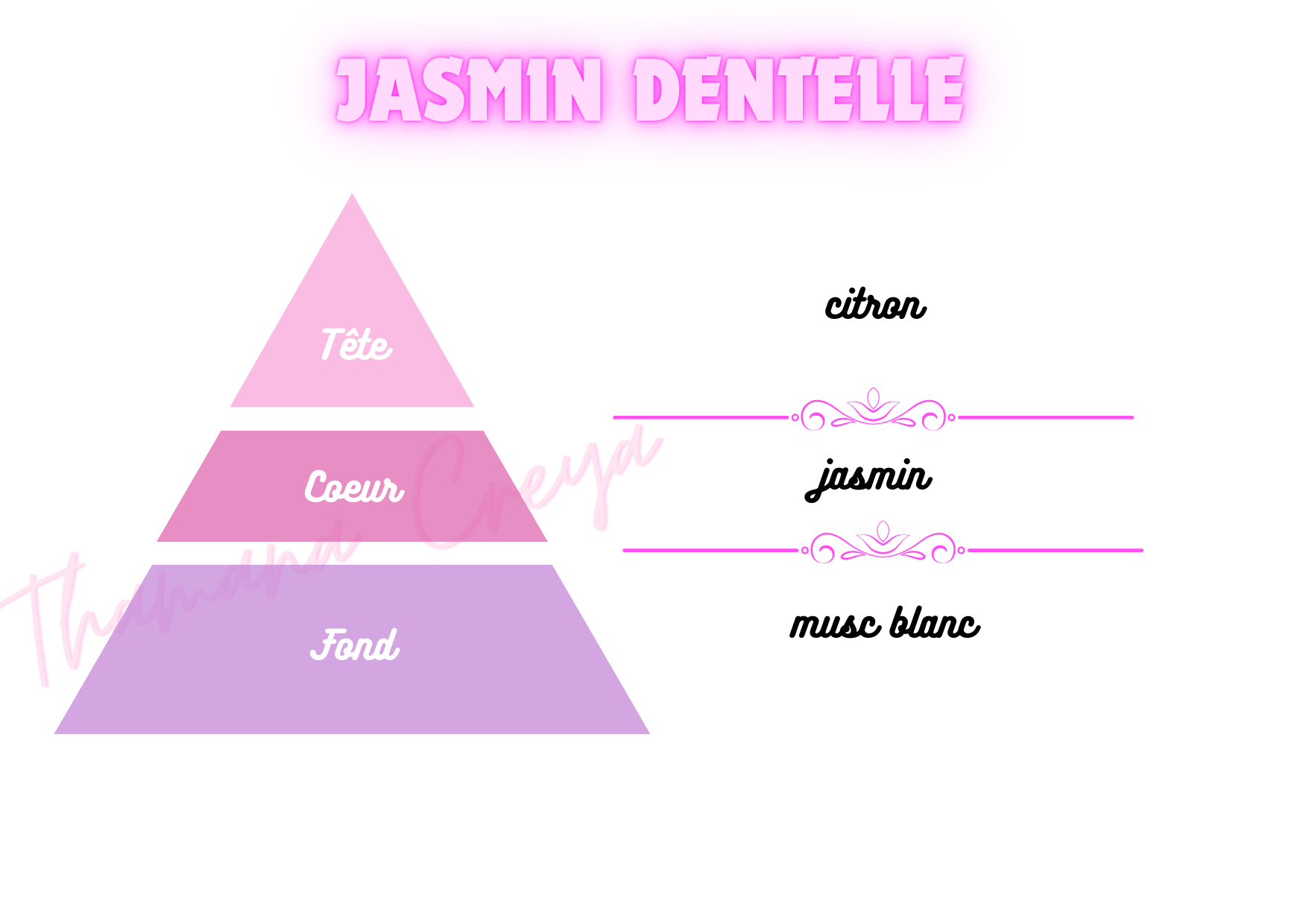 Jasmin dentelle