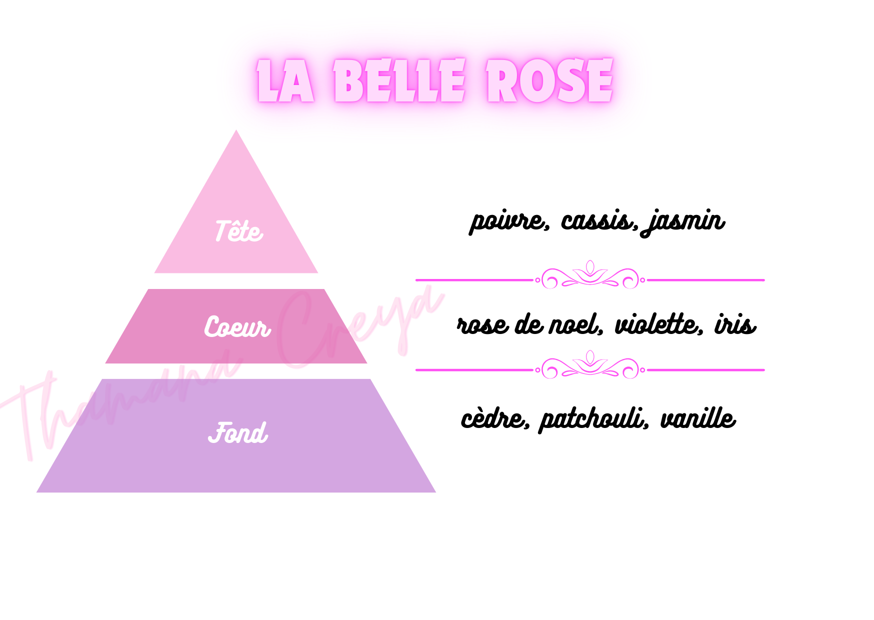 La belle rose