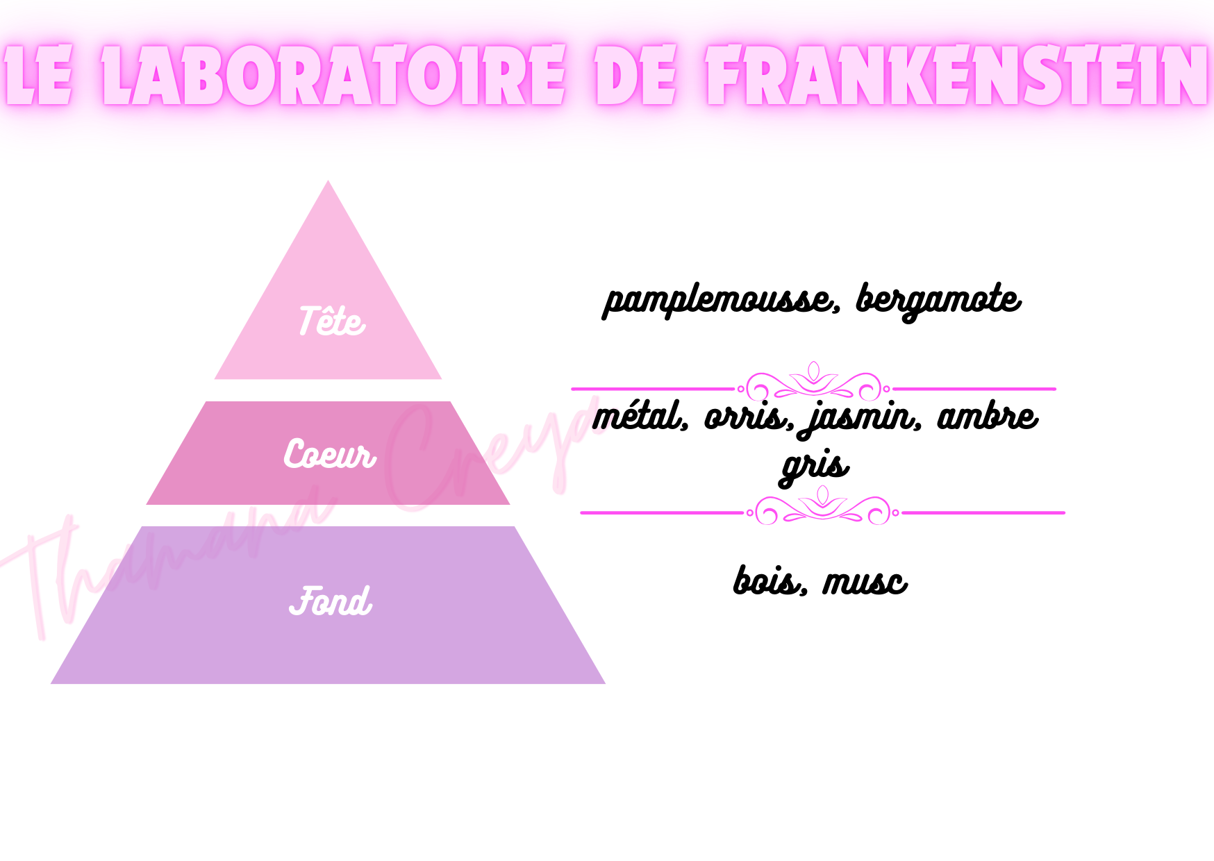 Le laboratoire de Frankenstein