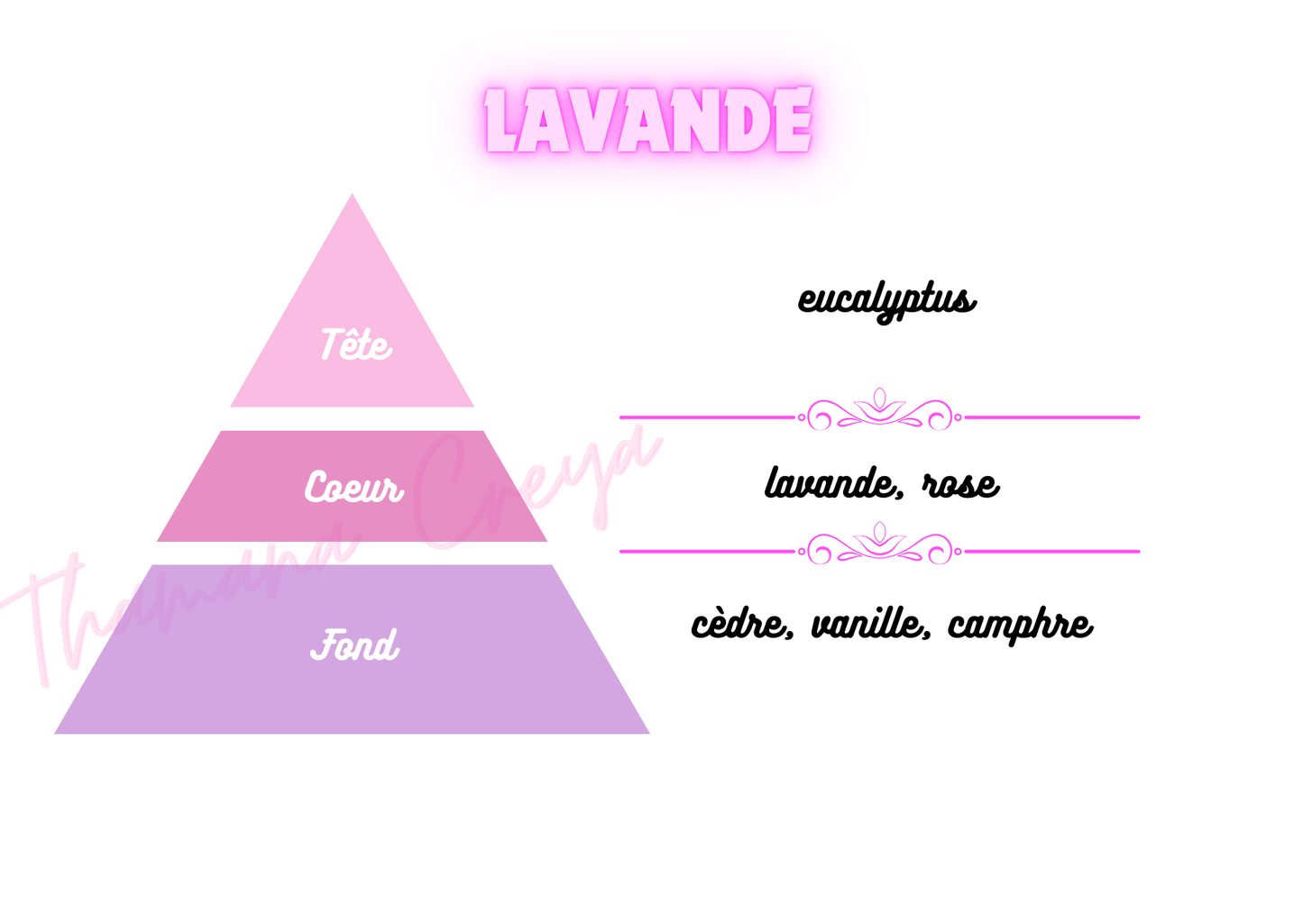 Lavande / N°Lot: TC26307