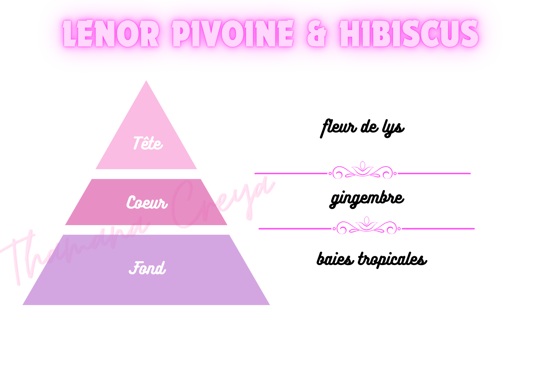 Lenor pivoine & hibiscus