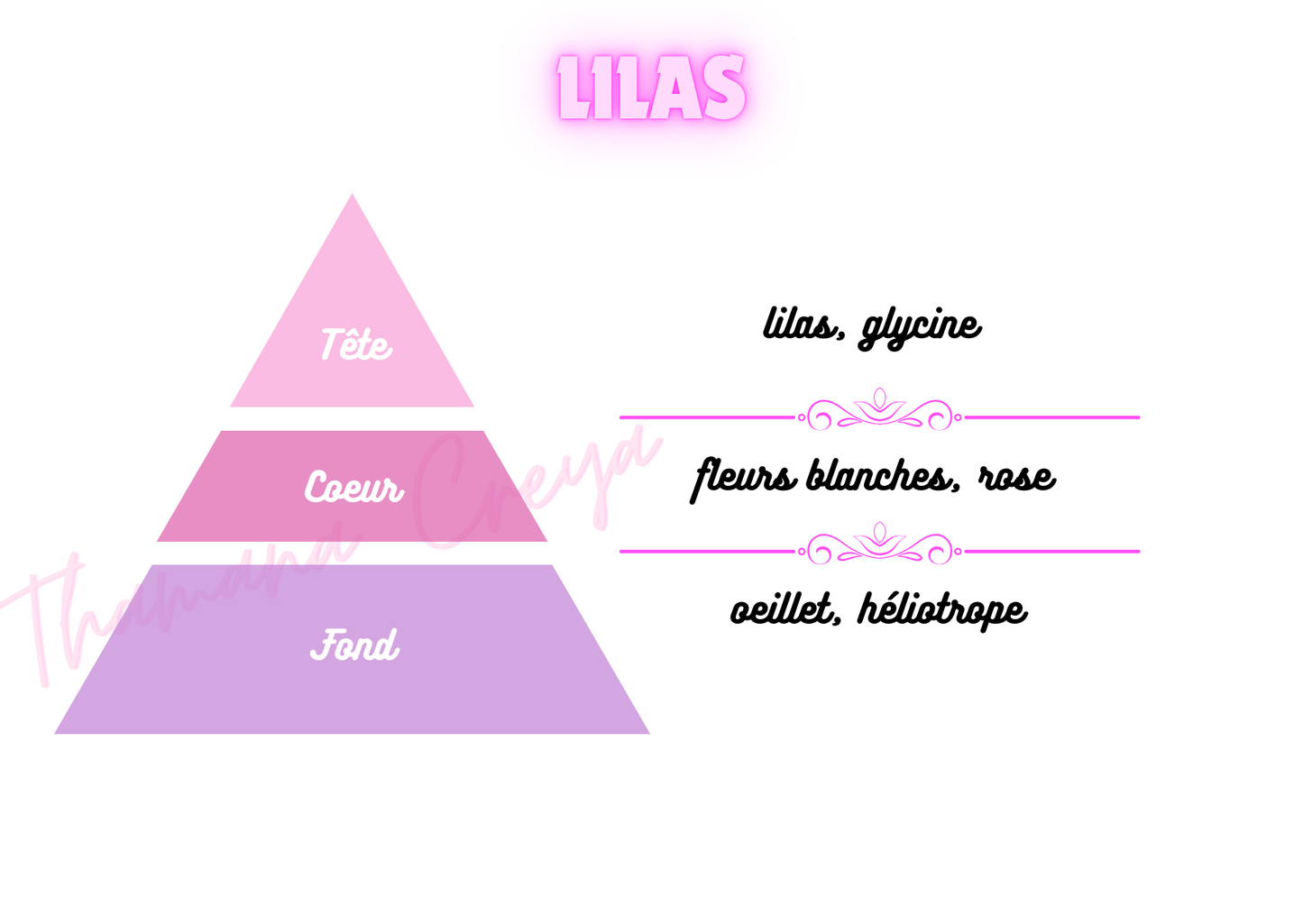 Lilas / N°Lot: TC-26157