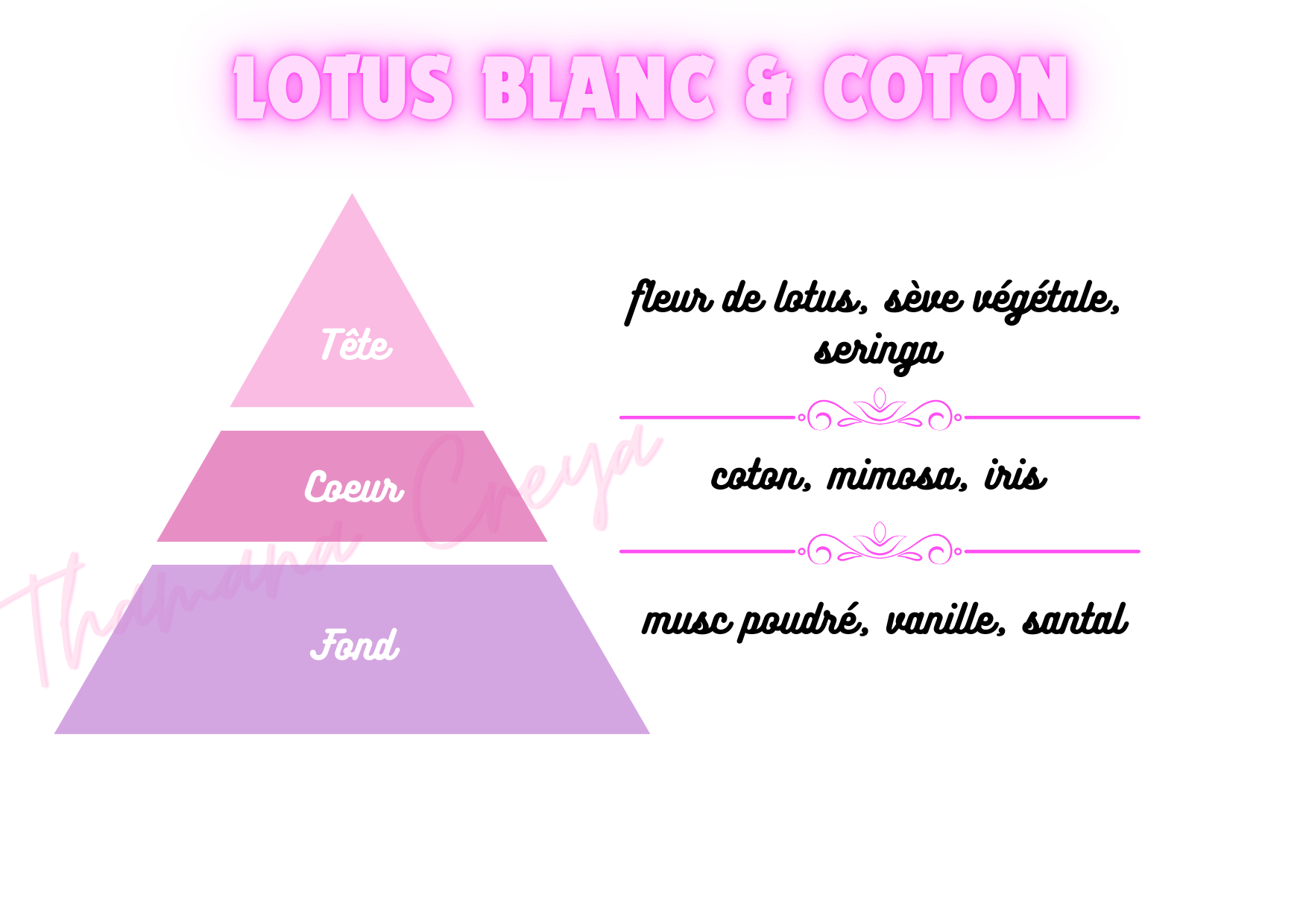 Lotus blanc et coton