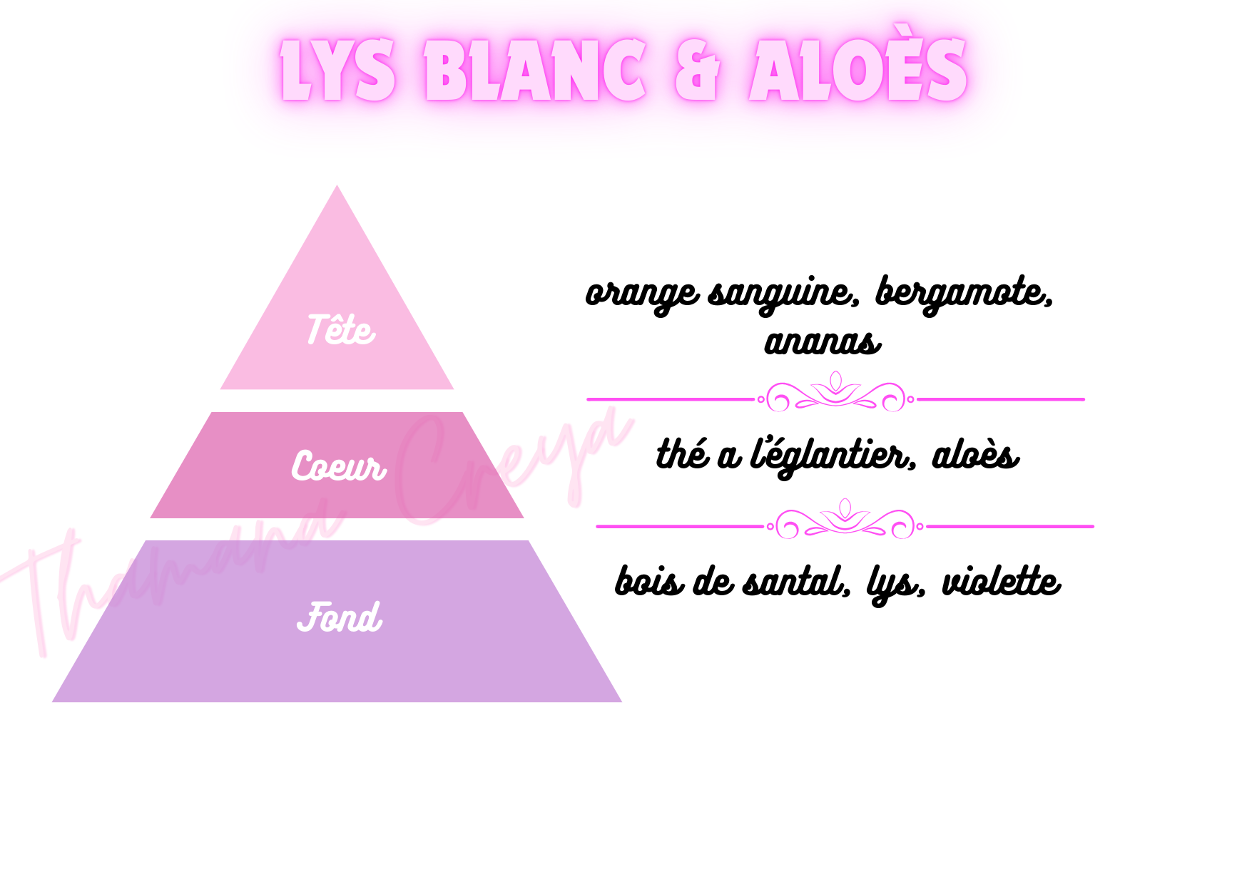Lys blanc & aloès