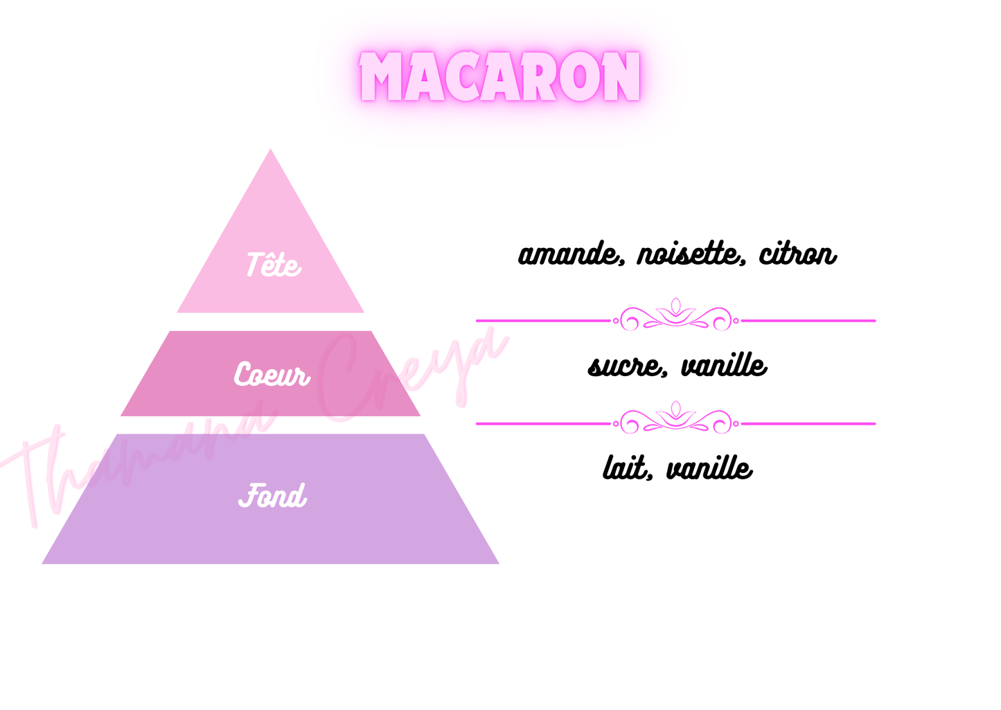Macaron / N°Lot: TC26230