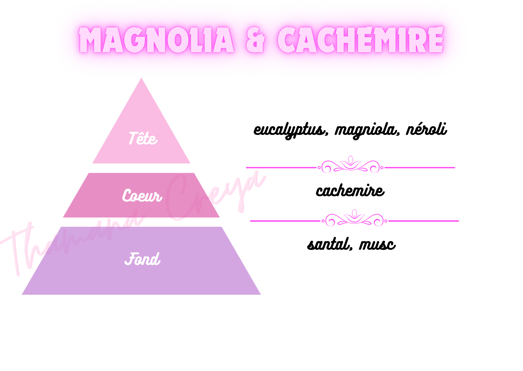 Magnolia & cachemire