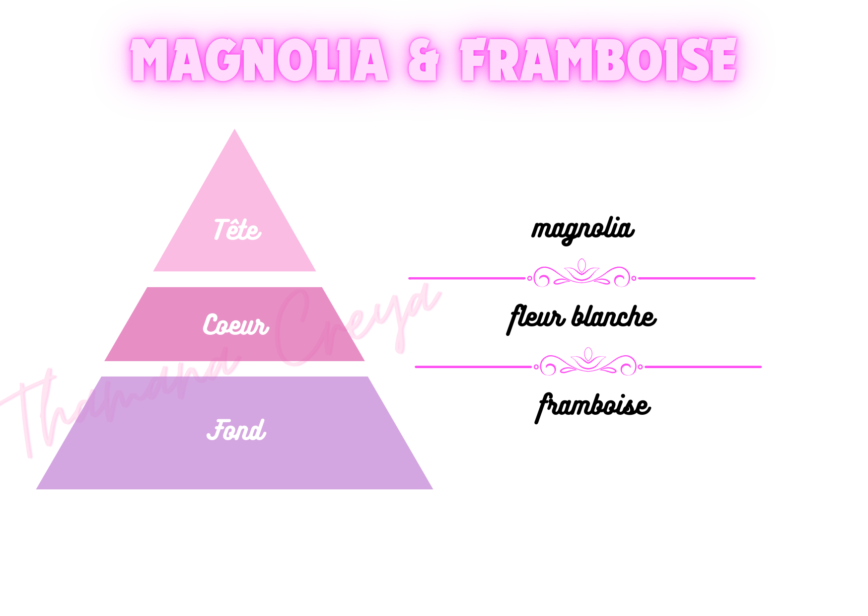 Magnolia & Framboise