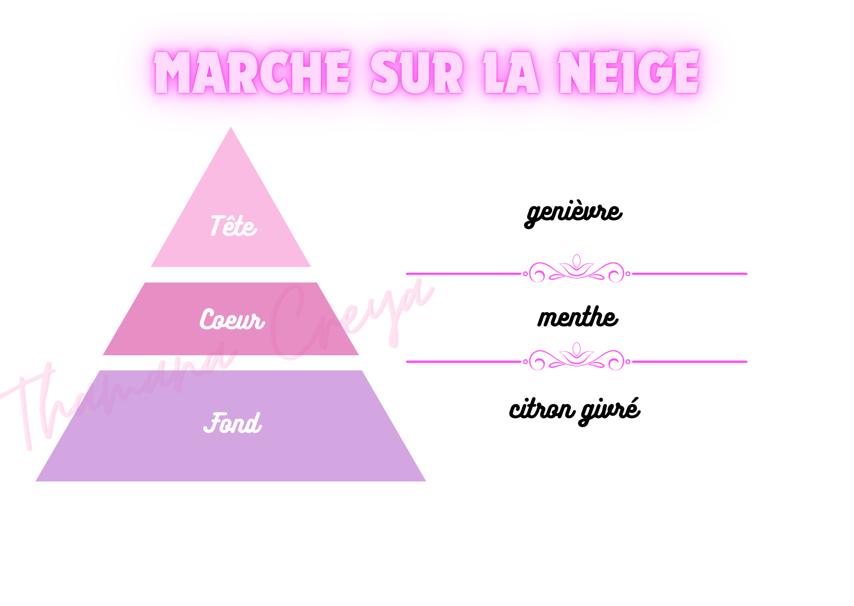 Marche sur la neige