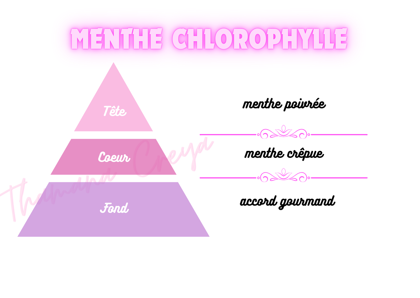 Menthe Chlorophylle / N°Lot: TC26119