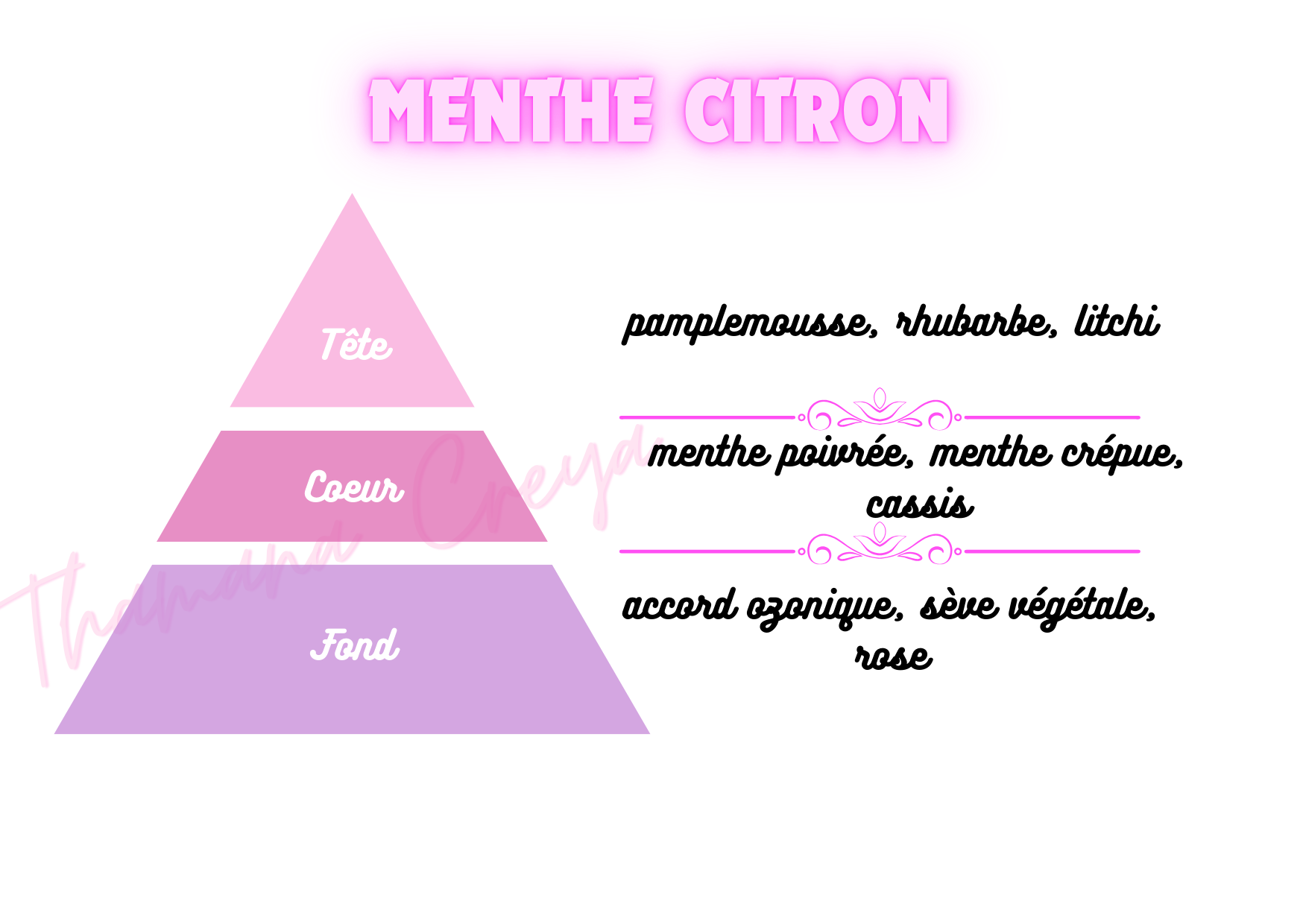 Menthe citron
