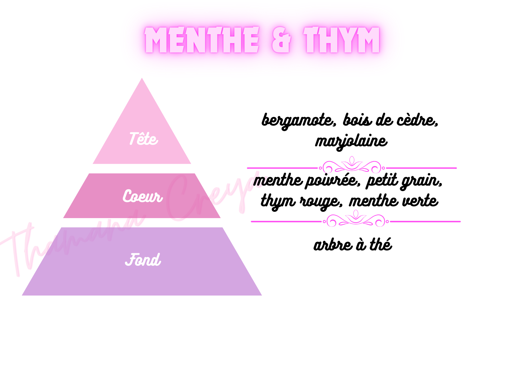 Menthe & thym