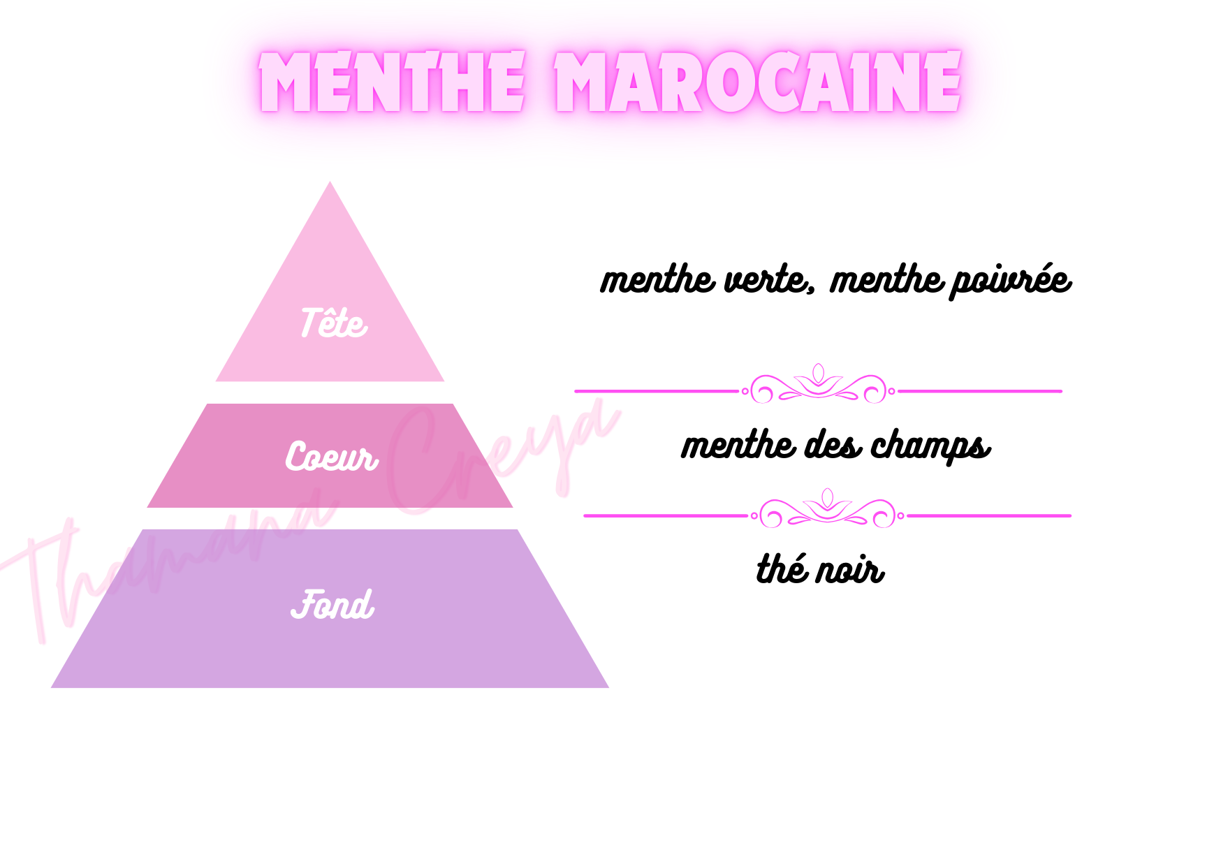 Menthe marocaine