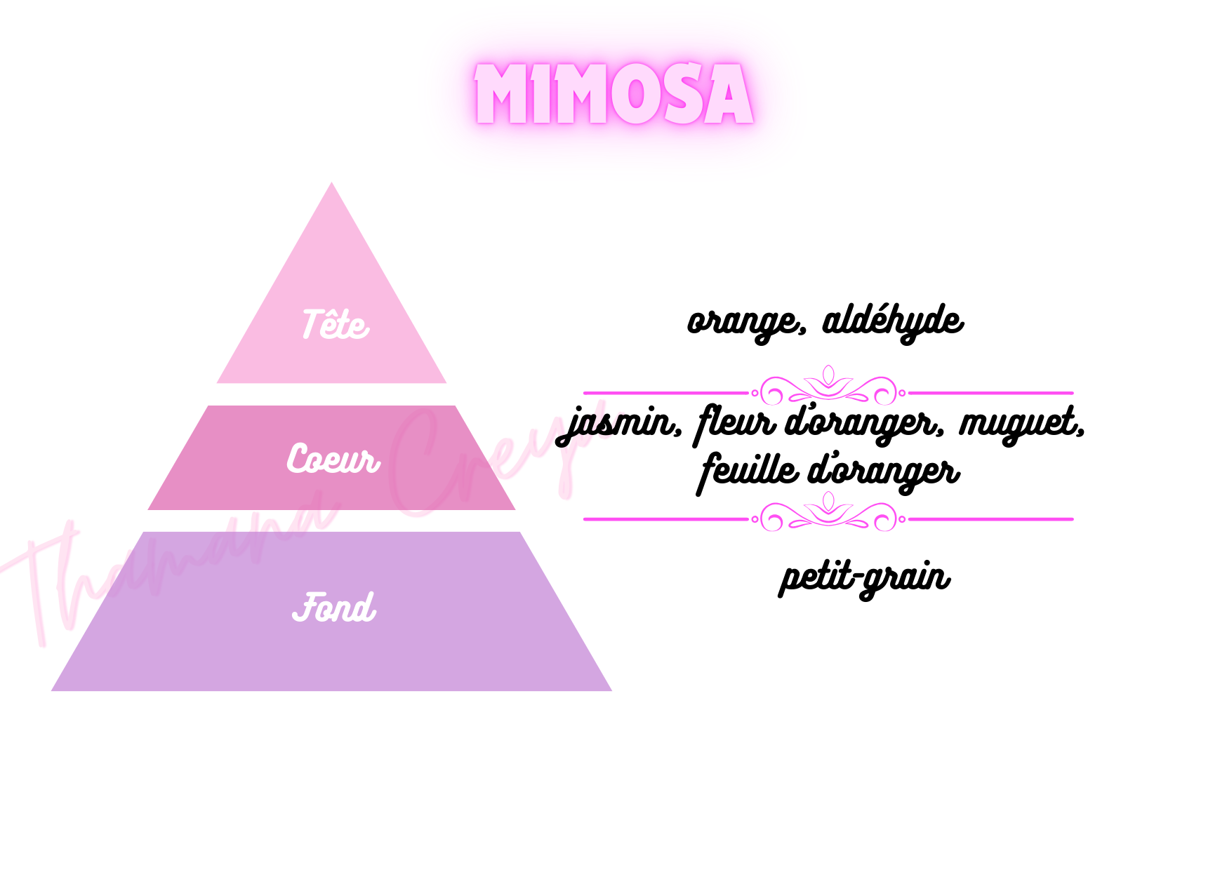Mimosa