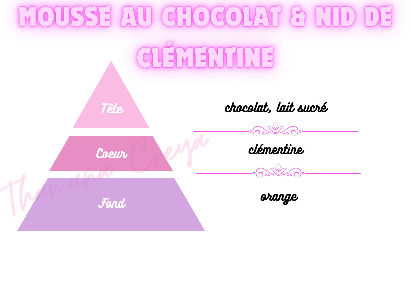 Mousse au chocolat & nid de clémentine
