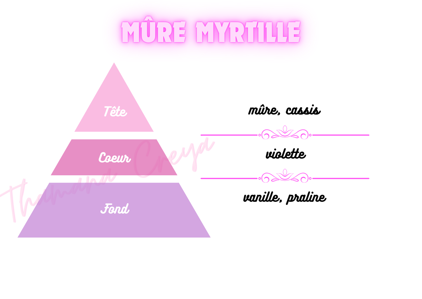 Mûre et Myrtille