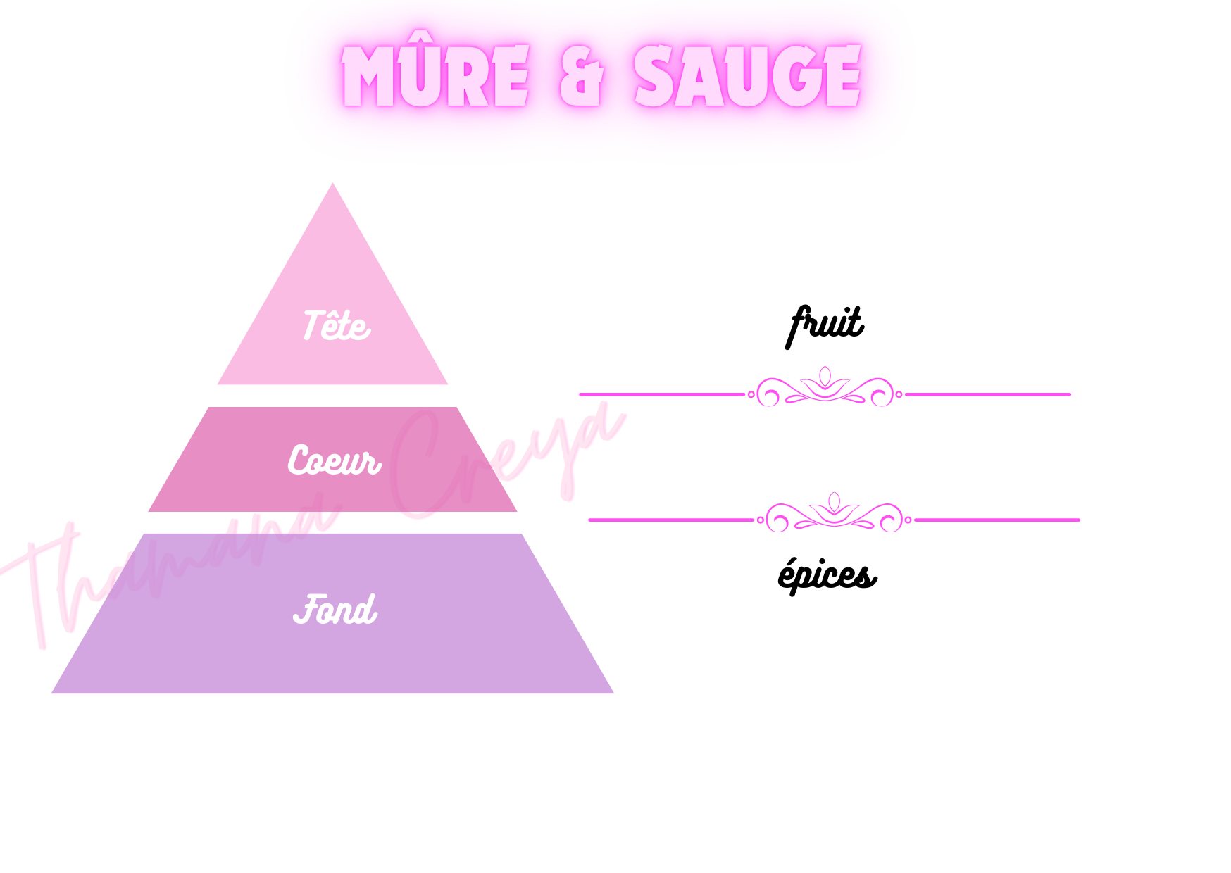 Mûre & sauge