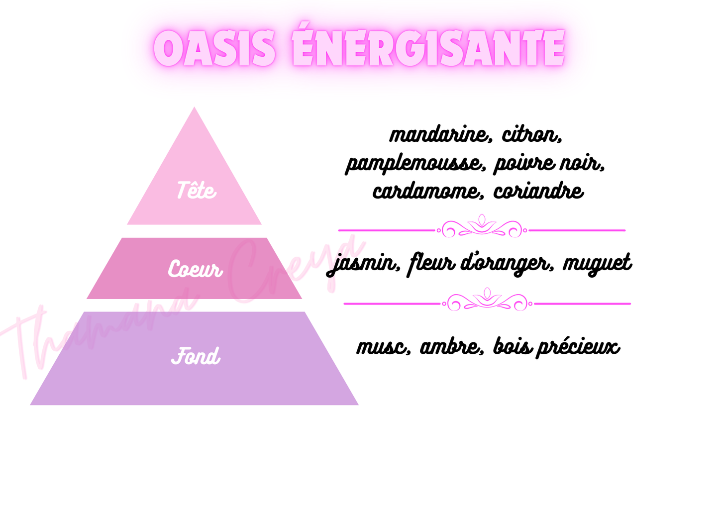 Oasis énergisante