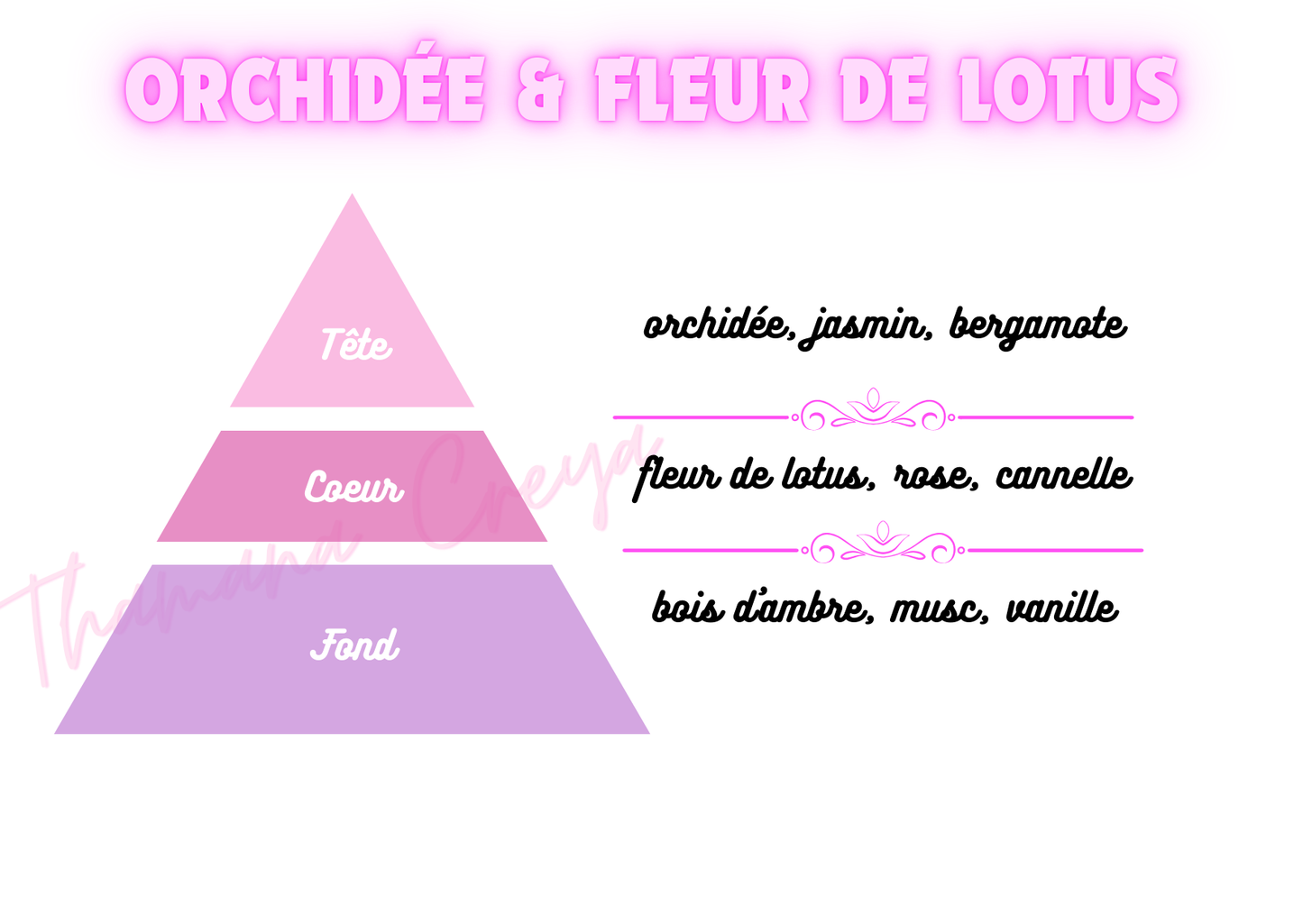 Orchidée & fleur de lotus