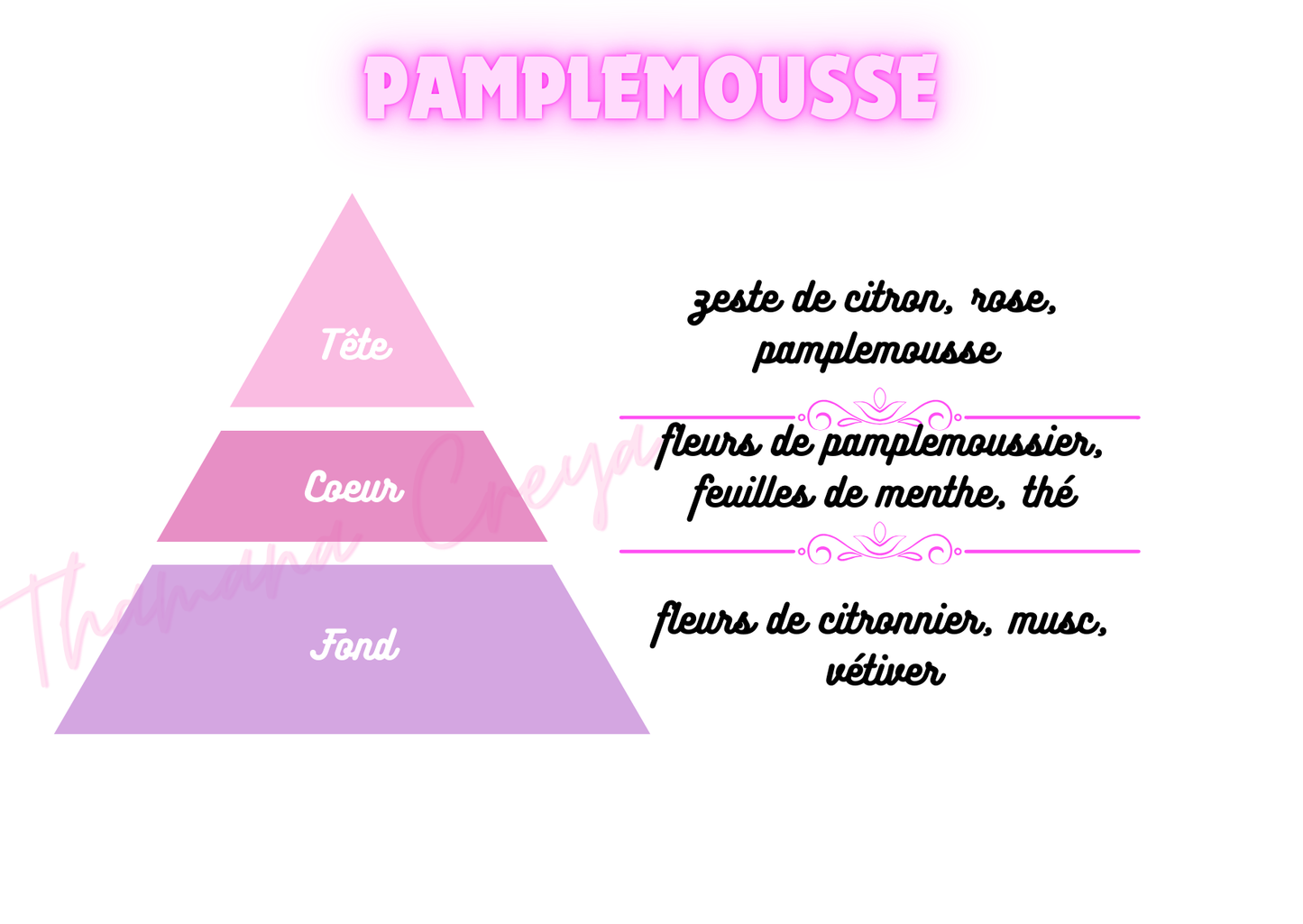 Pamplemousse / N°Lot: TC26104