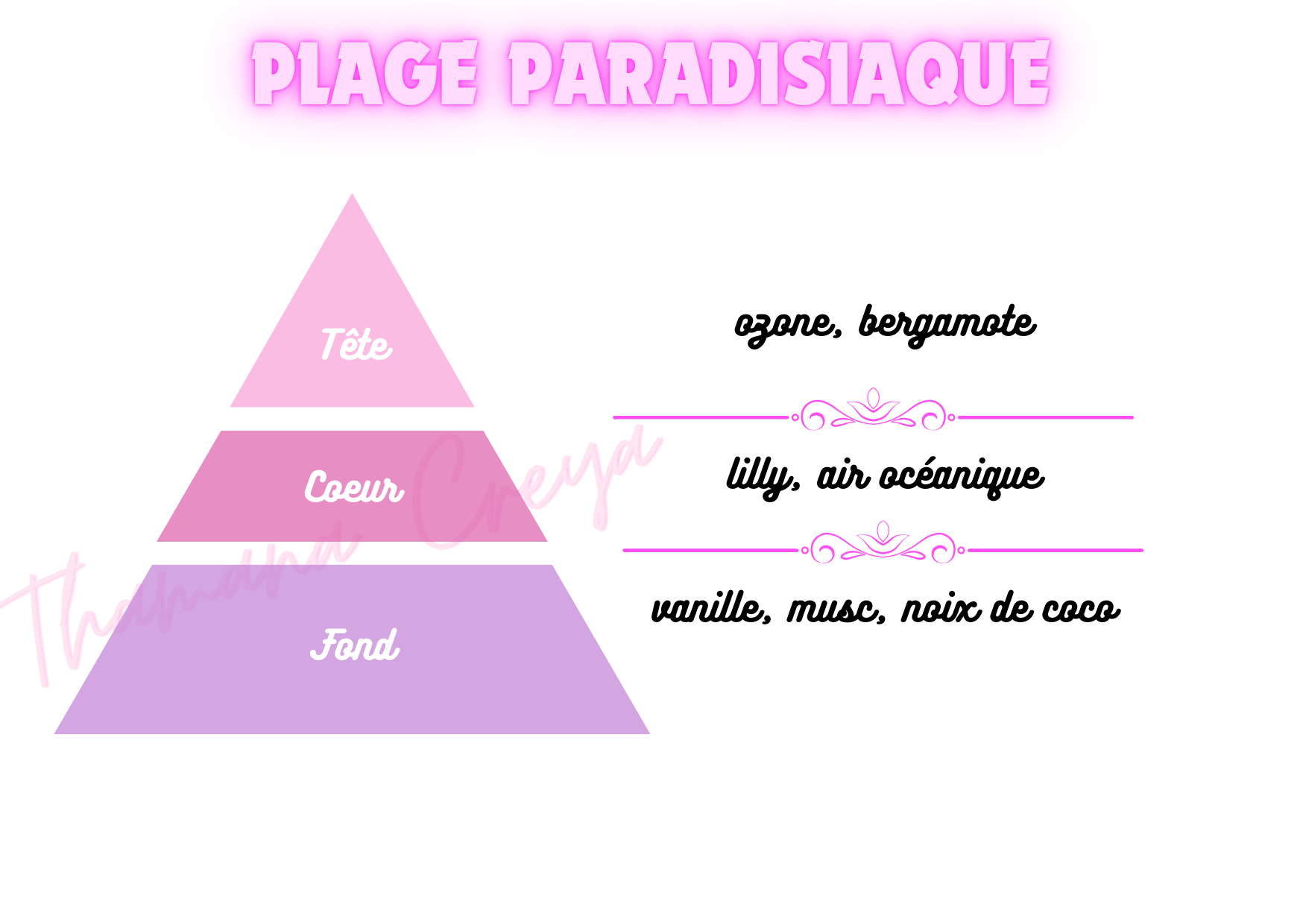 Plage paradisiaque