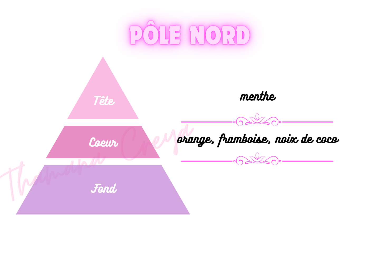 Pôle Nord