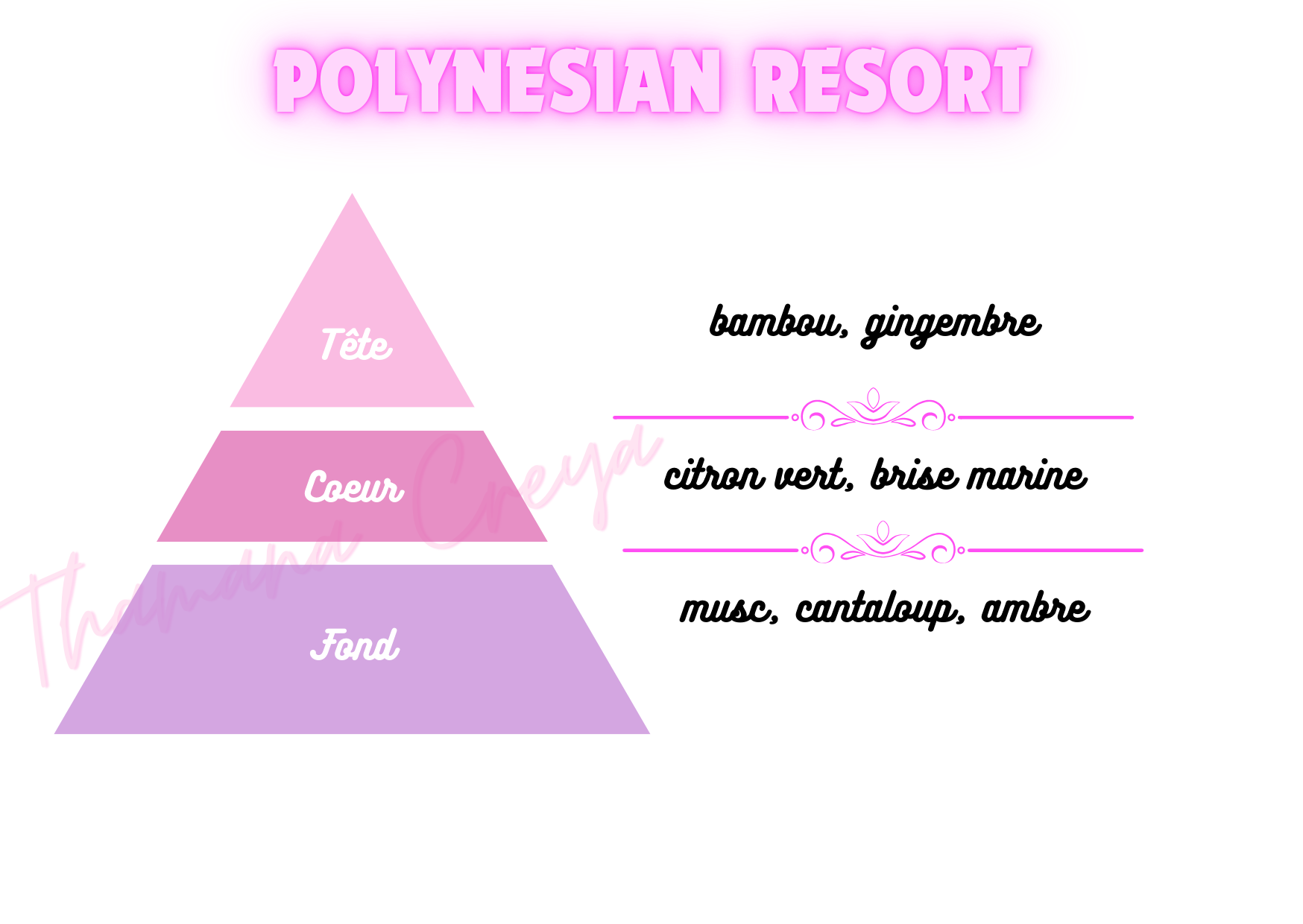 Polynesian resort - DisneyWorld