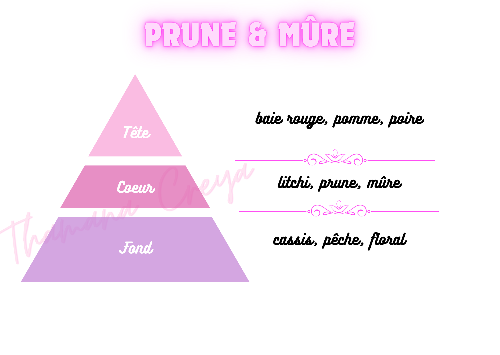 Prune & mûre