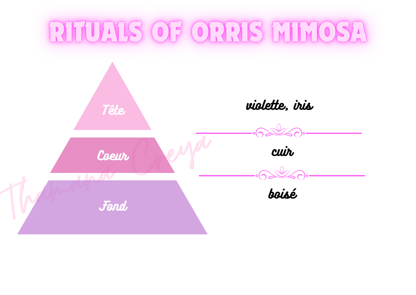 Rituals of orris mimosa