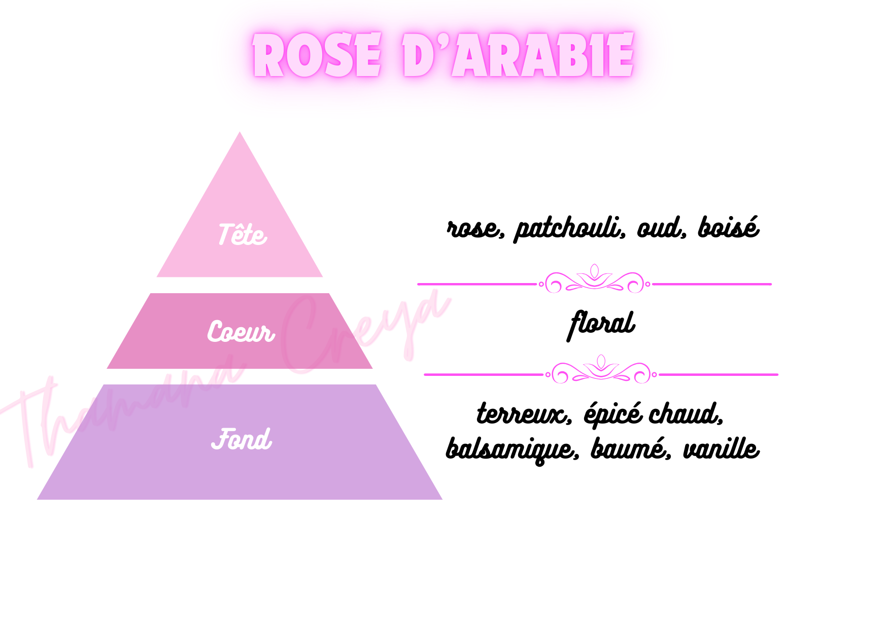 Rose d'Arabie - Armani