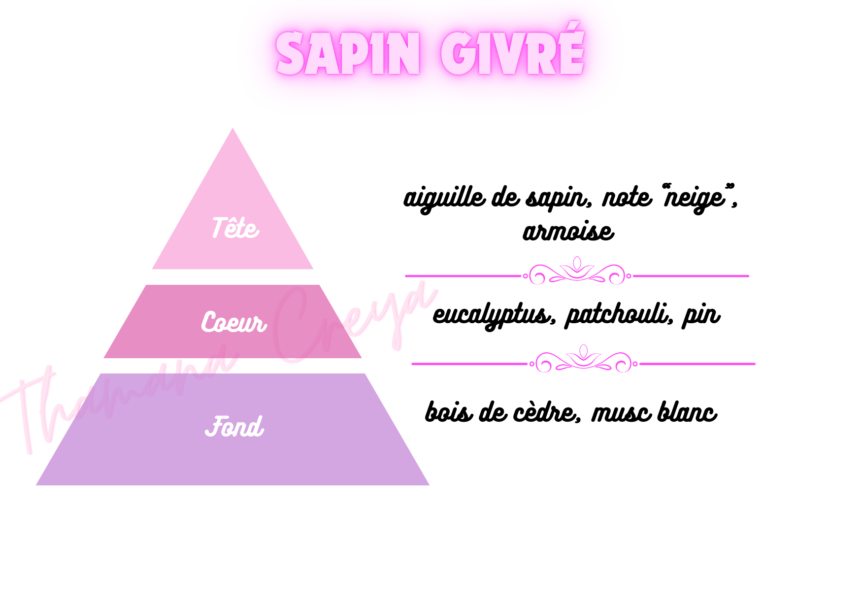 Sapin givré