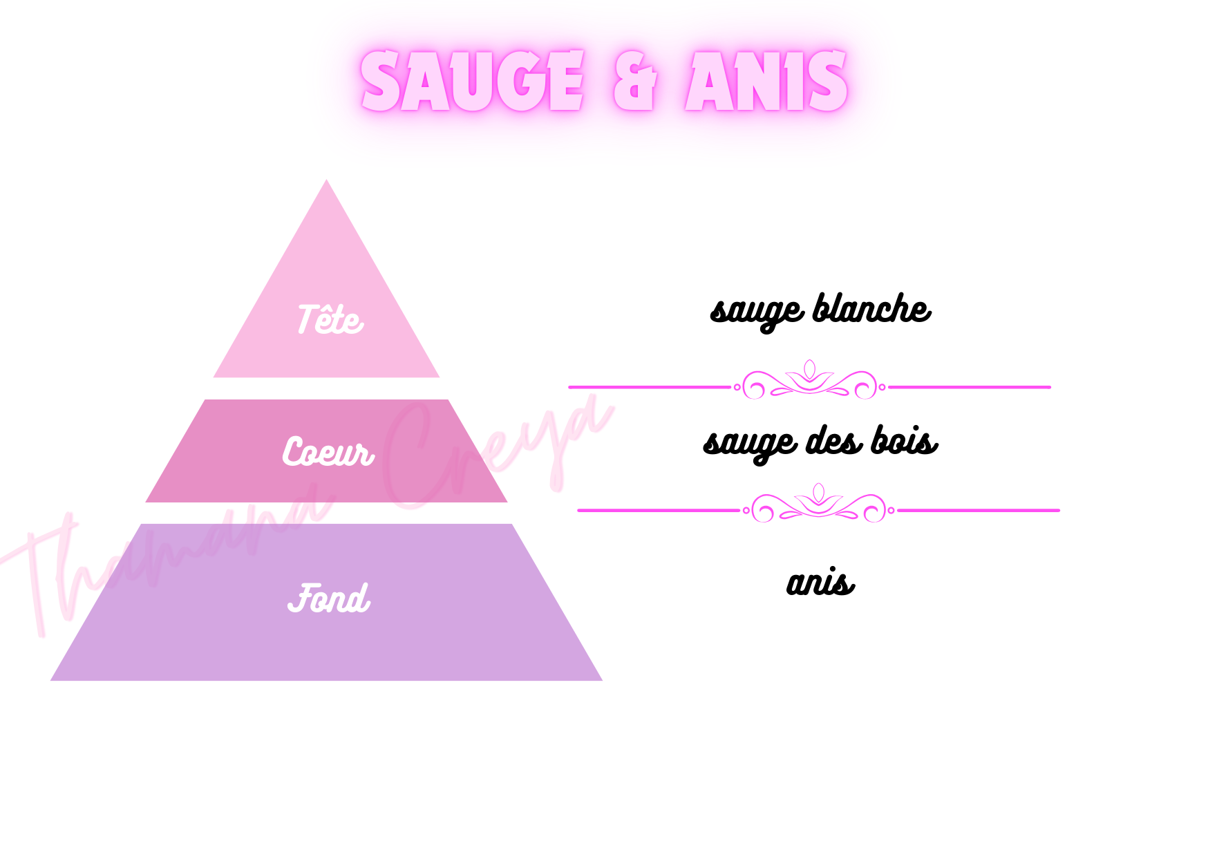 Sauge & anis