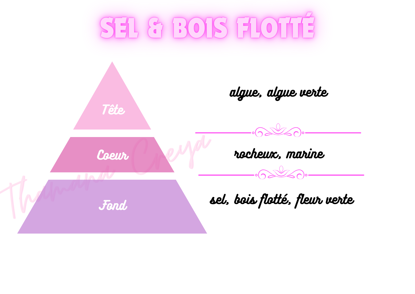 Sel & bois flotté