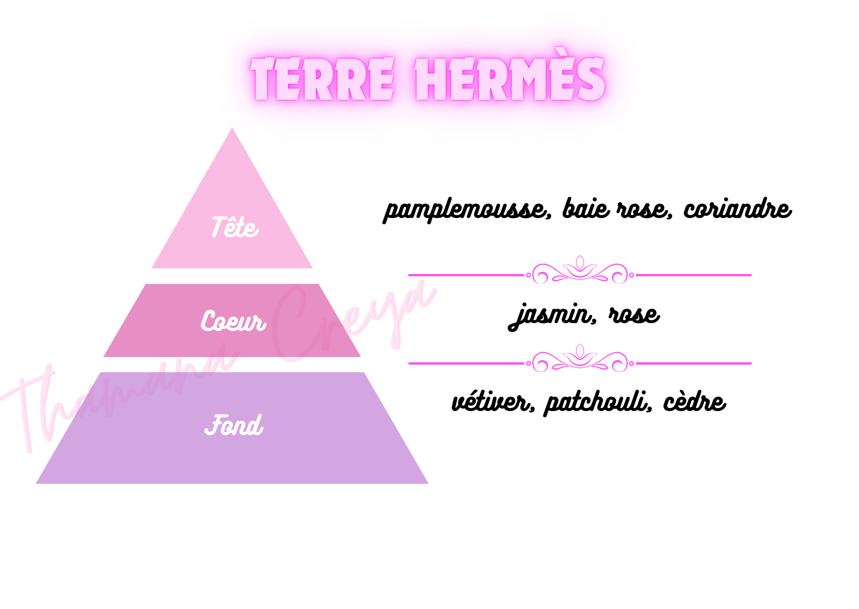 Terre hermes