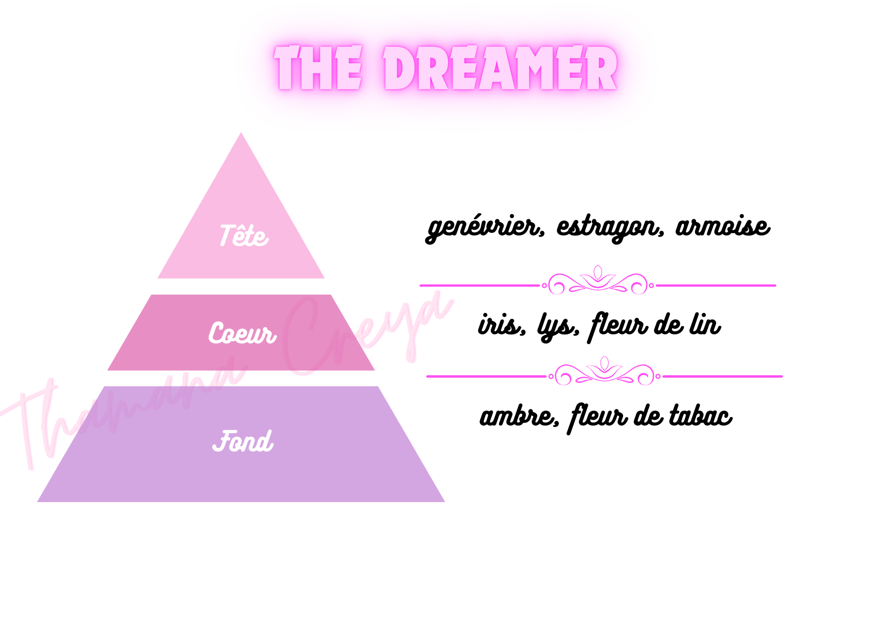 The dreamer - Versace