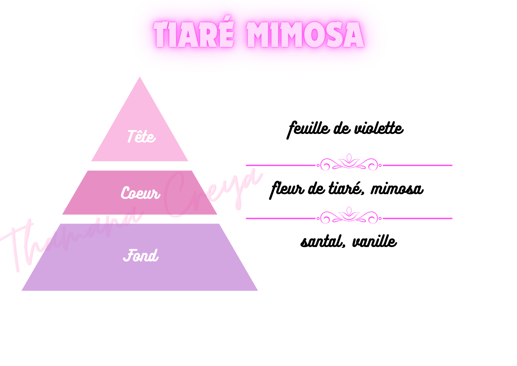 Tiaré mimosa